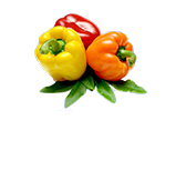 logo1