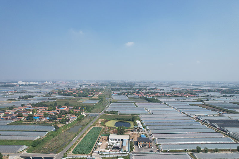 推动产业振兴 实现村美民富 青州市西水渠村农业发展农民专 业合作社