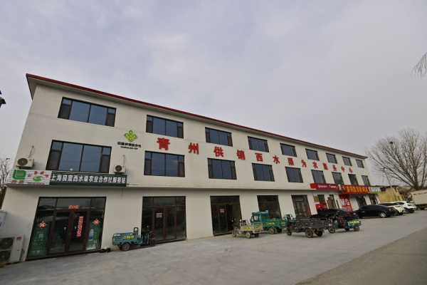 山东青州：打造四个平台 助力乡村振兴