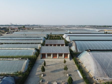 大棚展示