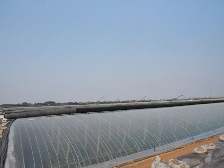 大棚展示