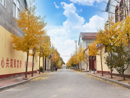 乡村风貌