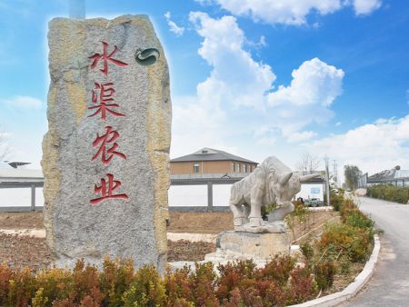 乡村风貌