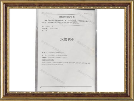 资质荣誉