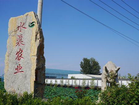 乡村风貌