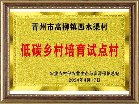 资质荣誉